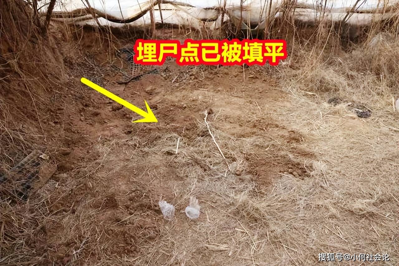 原创河北初中生被害案后续3人涉嫌故意杀人被刑拘埋尸点首曝光