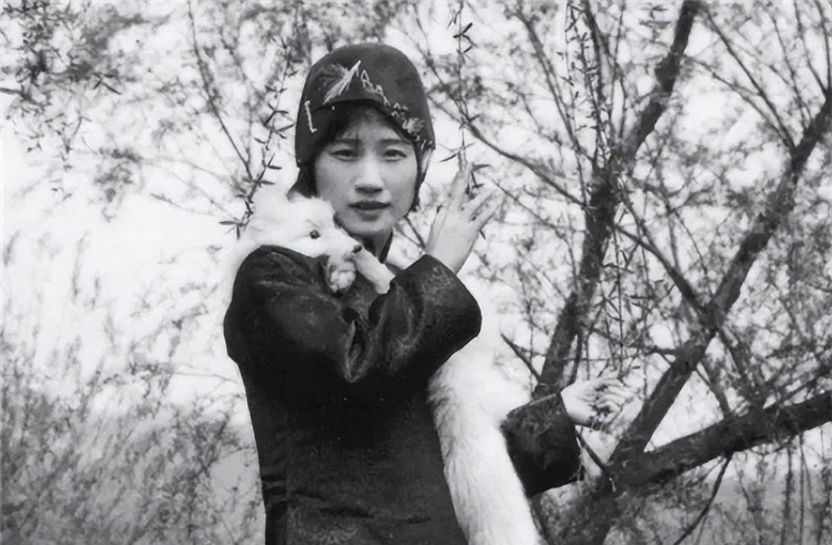 情诗,被多所大学选入教材,很多老师不敢细讲_陆小曼_张幼仪_林徽因