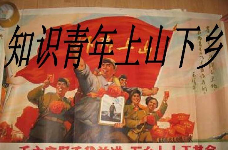 原创1968年不顾众人反对嫁给贫下中农的女知青后来怎么样了