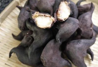 最后一种就是一种生长在山上的山棯子,这种山棯子也叫做桃娘,还有的