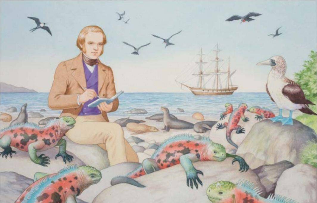 原创烤牛肉煎鸵鸟蛋炖美洲狮肉达尔文的南美洲冒险吃爽了