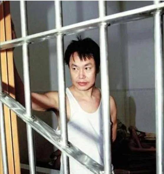 张子强被崩牙驹抢一个亿后,企图绑架何鸿燊,为何把自己搭进去了_报复_