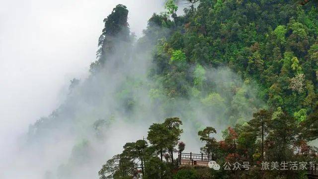 白石岭_风景区_巨石