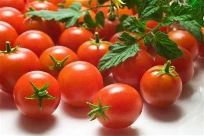 原创圣女果含糖量高吗圣女果减肥能吃吗圣女果是转基因食品吗