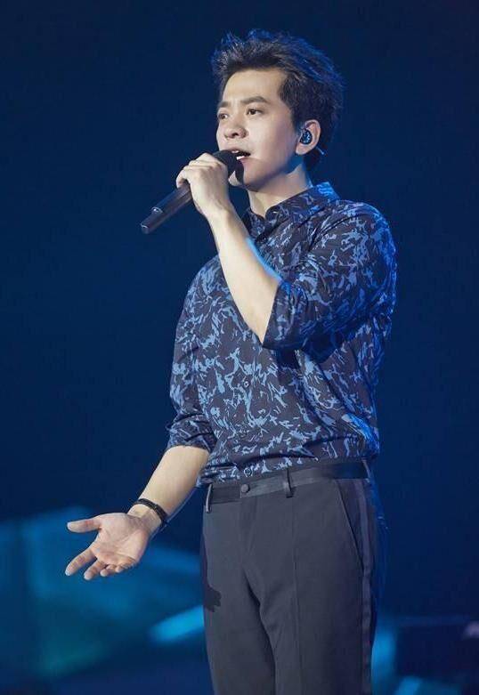 原创李健31岁娶青梅竹马丁克19年如今他们过得幸福吗