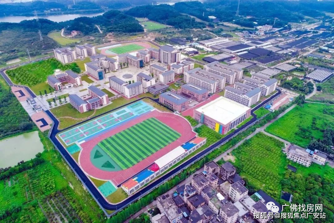 秀全中小学,合成小学,广外附属,华师华万附属,广外附中等省级名校