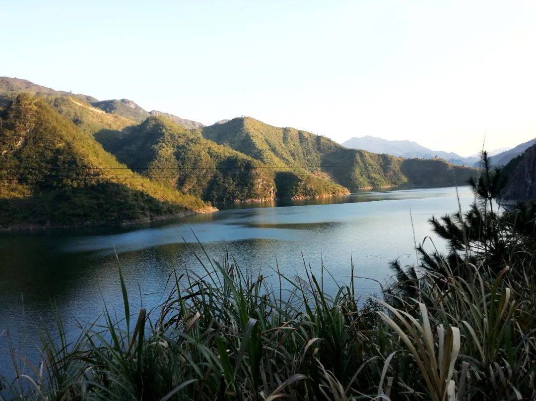 游峡湾,赏湖光,在江南小城邂逅诗意山水_青田_时间_景区