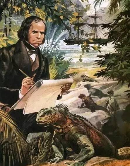 原创烤牛肉煎鸵鸟蛋炖美洲狮肉达尔文的南美洲冒险吃爽了