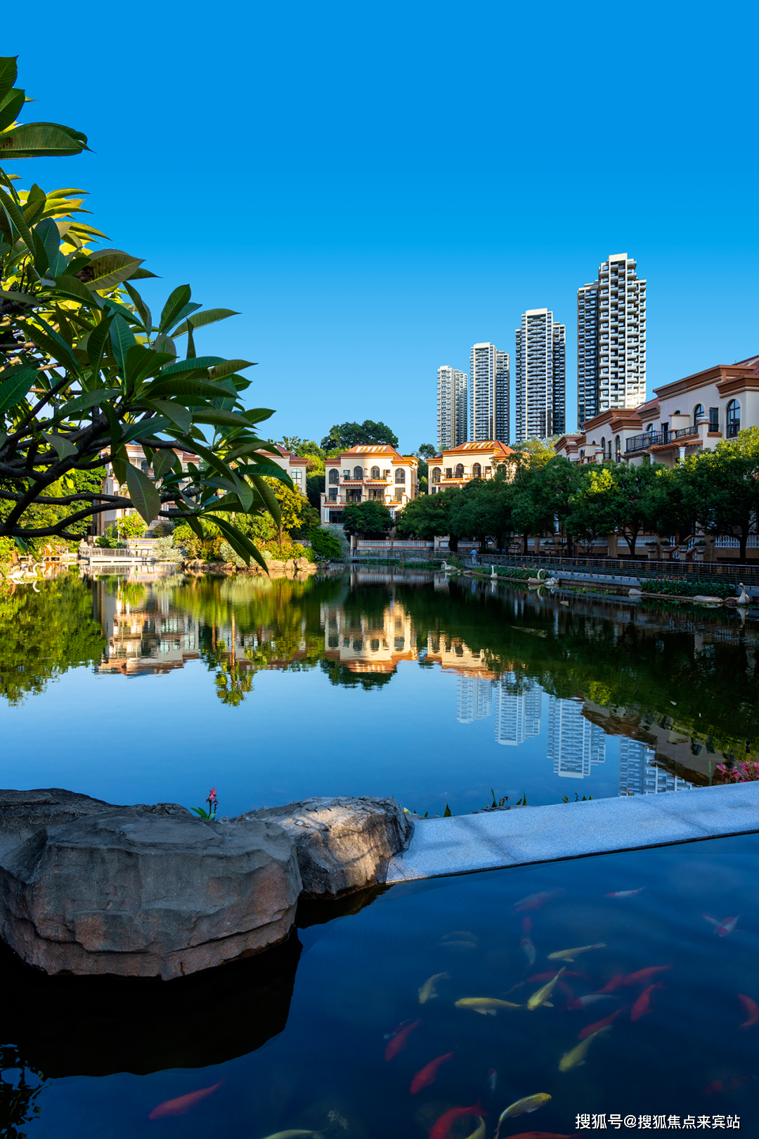 金光华龙岸君粼深圳金光华龙岸君粼房价户型图样板间规划图交房配套