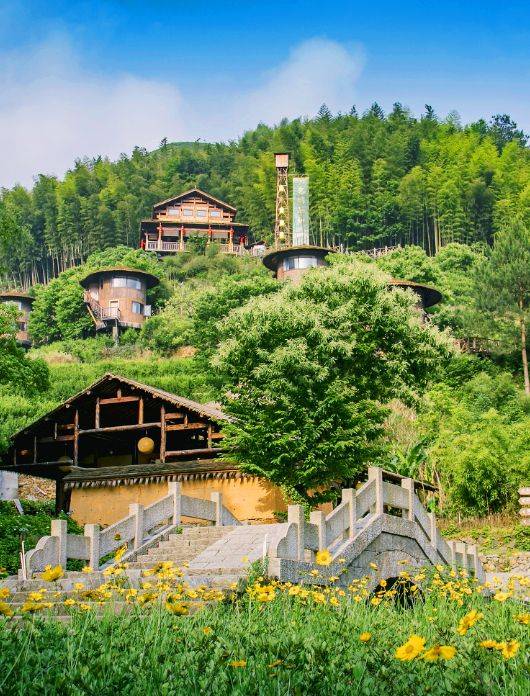 畲族的房子被称为"寮",它们依山而建,错落有致.