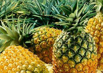 原创菠萝和凤梨是同一种东西吗该如何辨别看完涨姿势