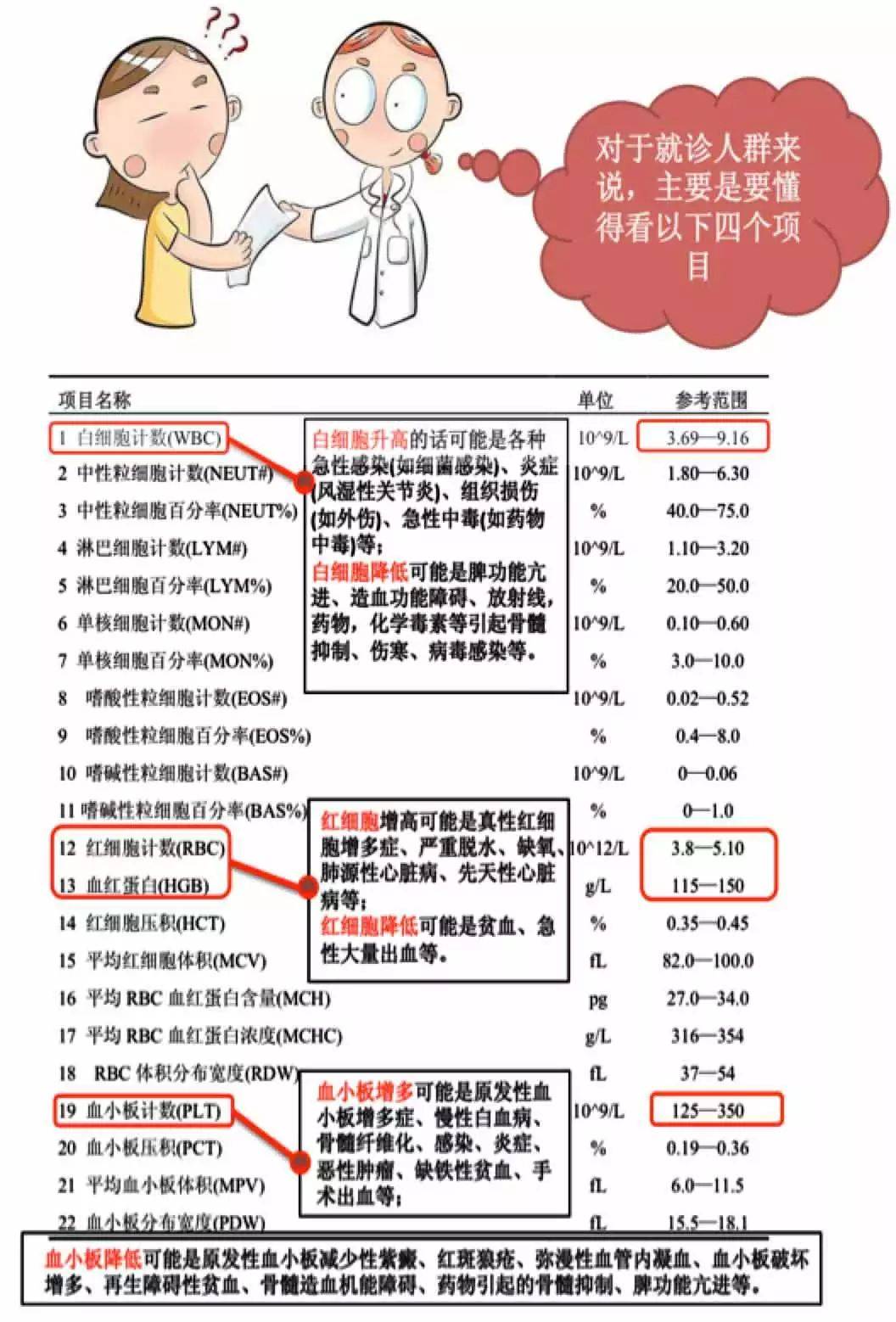 血常规检查项目正常图片