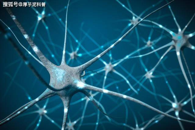 探秘人类大脑蕴藏的神秘奥秘_神经元_科学技术_思维