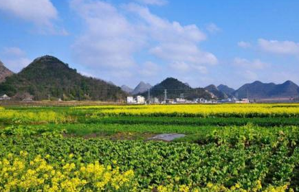 安龙县_中原地区_广西