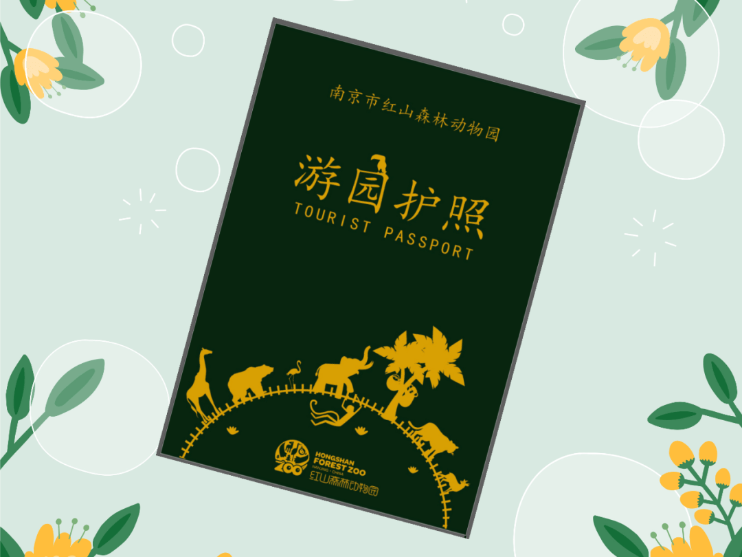 激发你的文创灵感有料动物园文创到底能玩出多少种花样