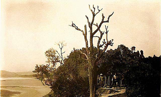 据章树藩交代:长工的确是他打死的,当时长工在夜间擅自闯入了他妻子的