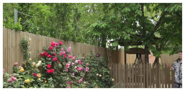 周海媚生前别墅,价值超过3000万,均价仅5万,可享快乐与自由_生活_风景