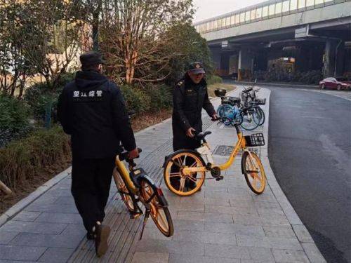 打好执法重塑“组合拳” 营造良好营商环境 (图6)