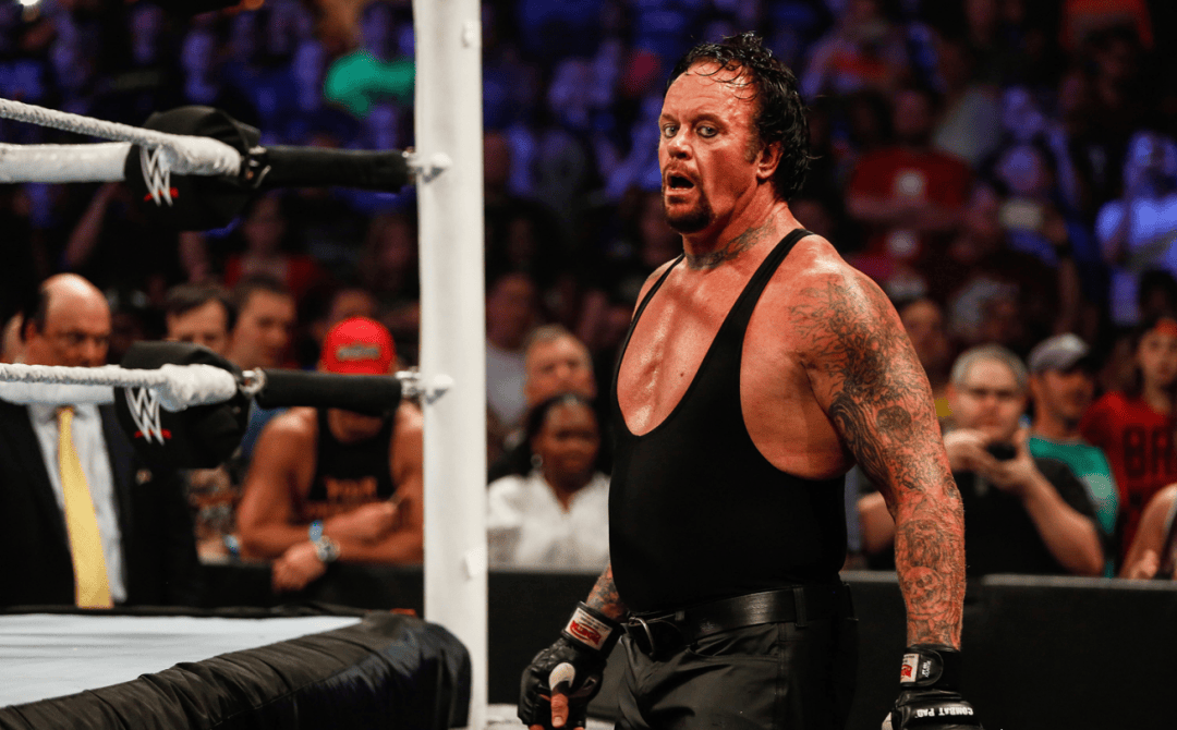 保罗_泰森_比赛