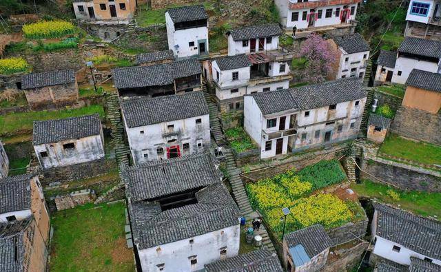 下坝村算是我见过众多空心村中颇有活力的村子.