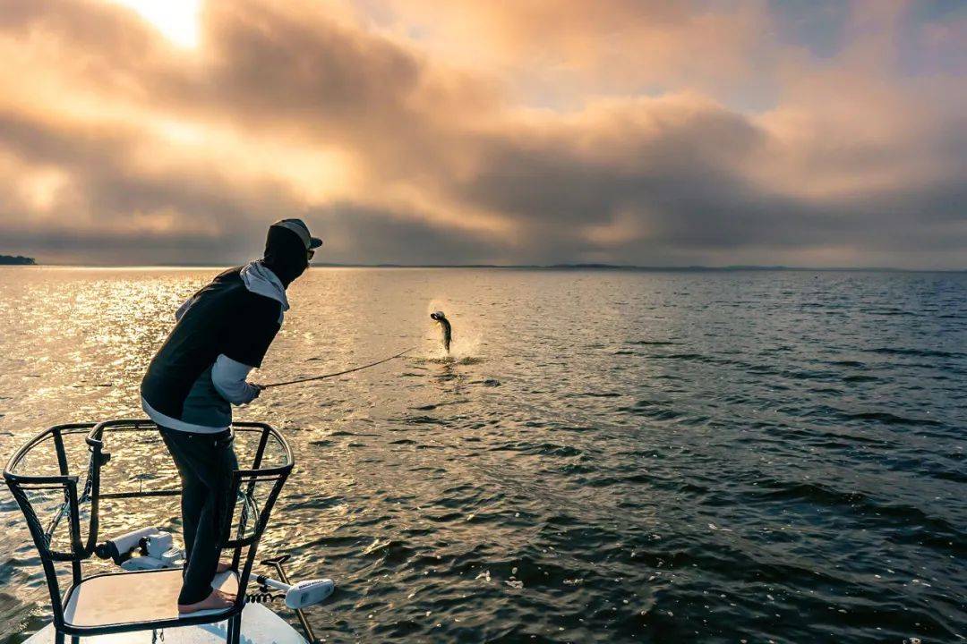 探索海钓魅力flatsfishing平底船钓鱼一种独特的海洋垂钓体验