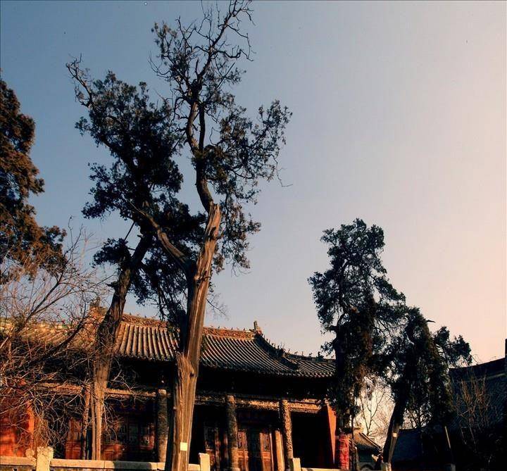 苏辙父子归焉之地——三苏墓和祠,全国保存最好的县级文庙——郏县