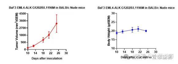 图六:baf3 eml4-alk g1202r-l1196成瘤实验.a: 瘤体积变化趋势图.