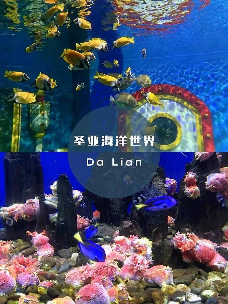 大连旅游规划大连旅游打卡地有哪些心得分享