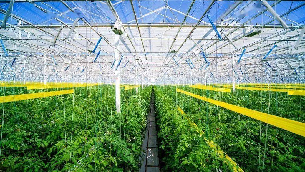 提升农业综合生产能力的配套工程,也是构建现代农业生产,经营体系的