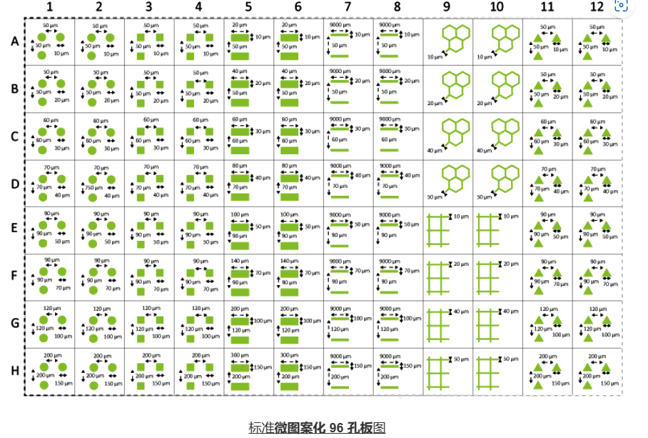 96孔微图案多孔板正方形