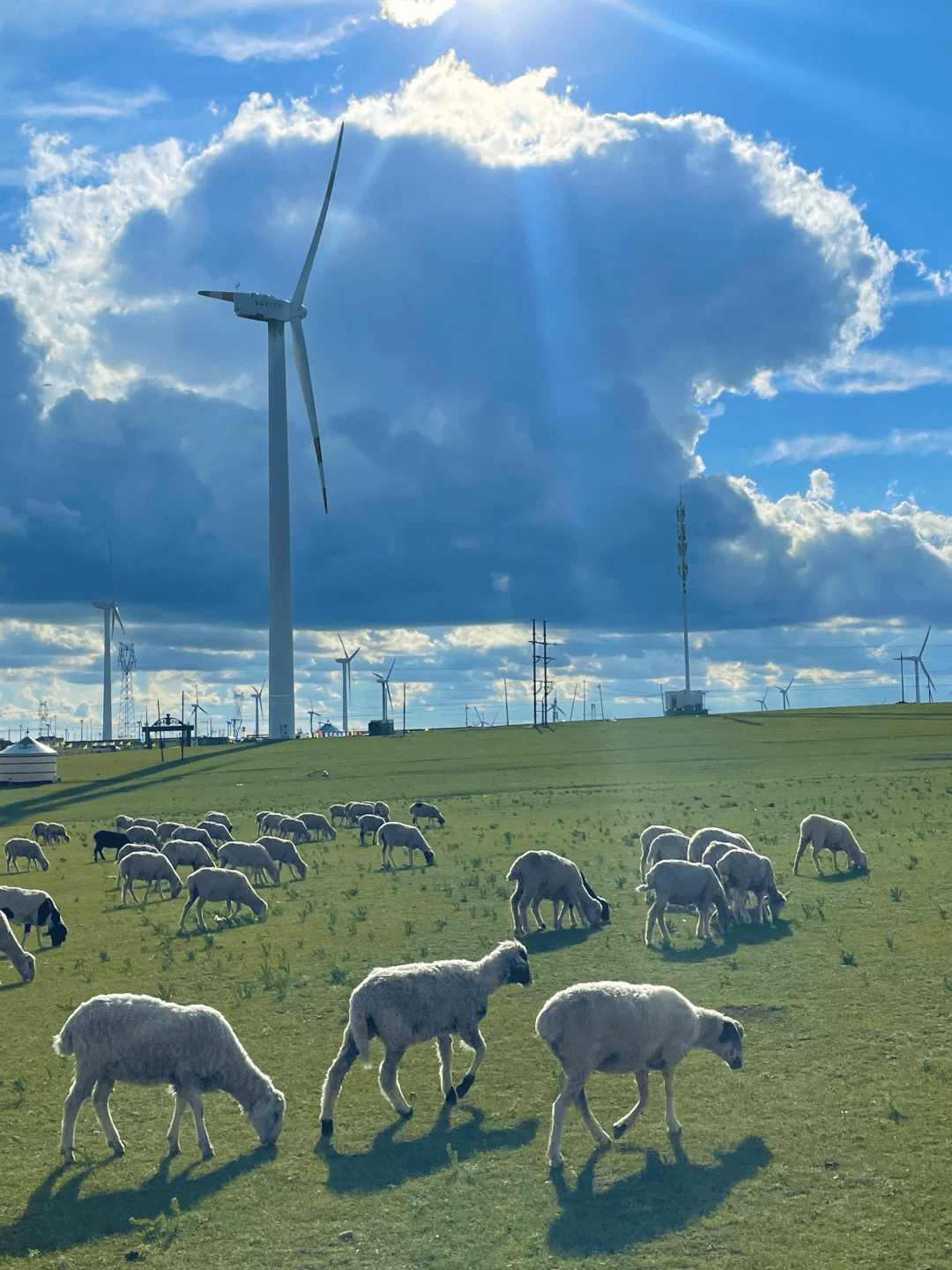 两个人到内蒙古玩5天旅行团报价人均多少钱小白必看超详细内蒙古旅游