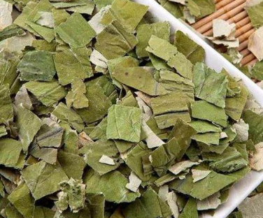 荷叶中的荷叶碱中含有多种有效的化脂生物碱,能有效