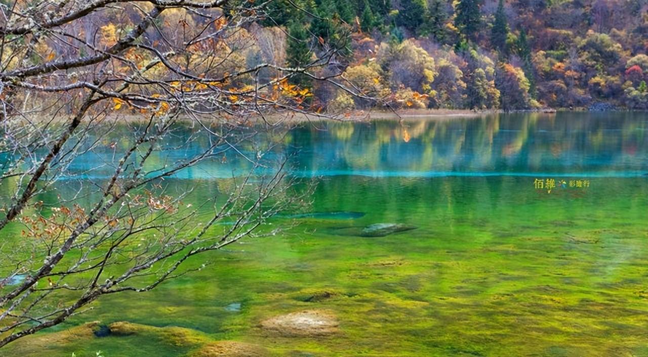 广州飞往长白山,4天3夜的长白山旅程推荐