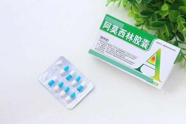 "阿莫西林"是消炎药?阿莫西林不是头孢,为什么不能喝酒?_抗生素_治疗_