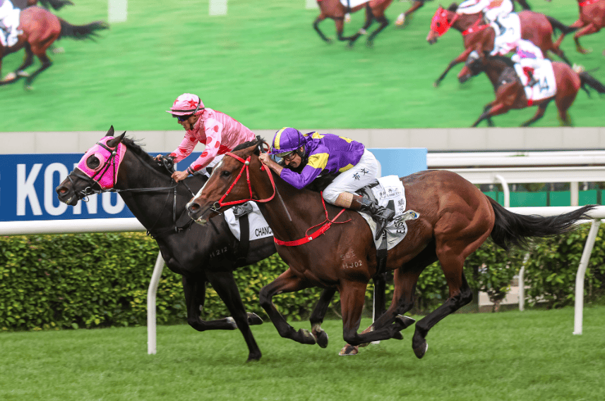 第147届宝马香港打吡大赛马匹排位表出炉