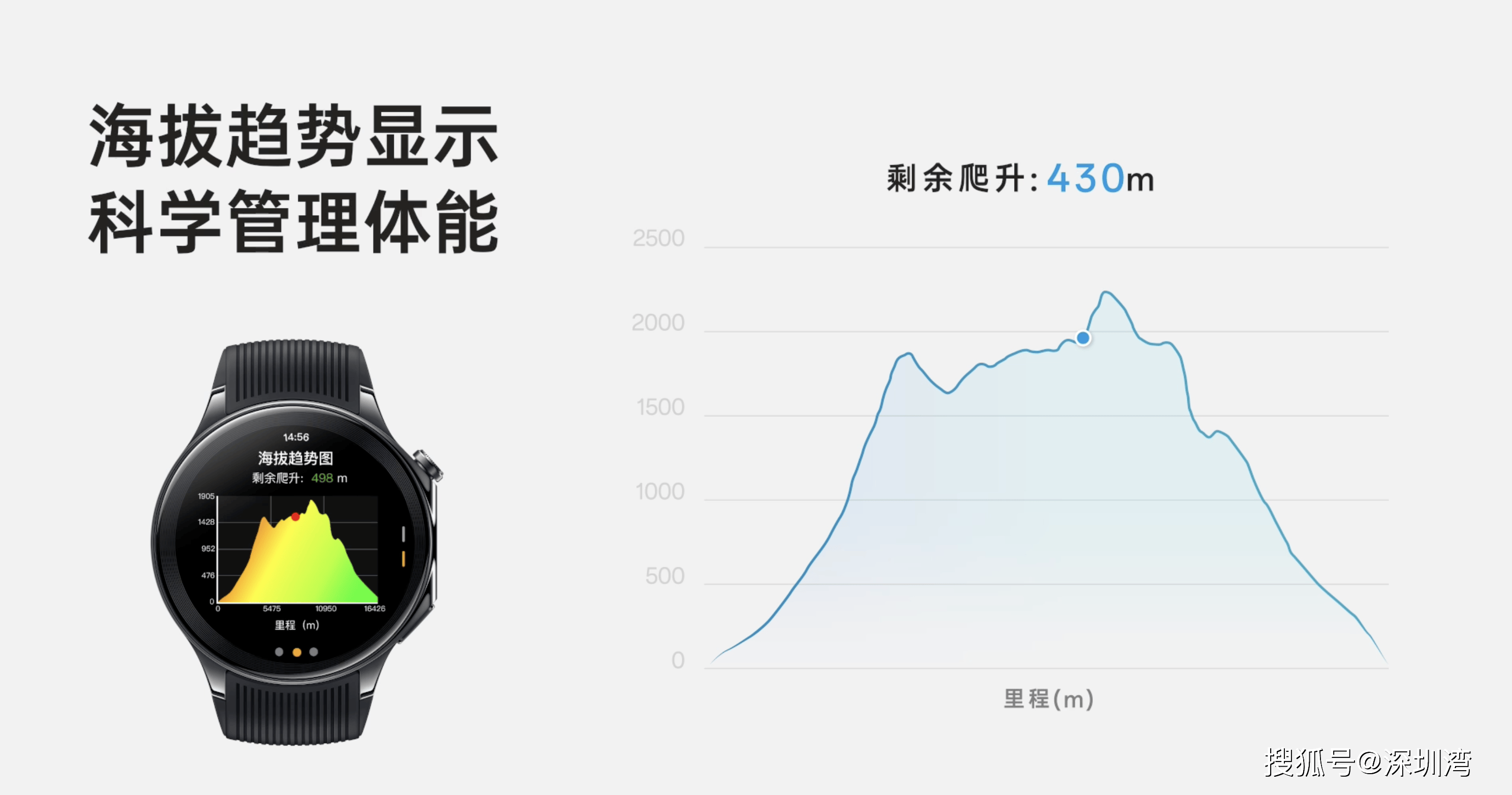 oppo健康运动图片