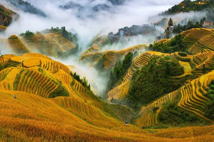 桂林漓江阳朔龙脊梯田品质跟团游六天五晚需要多少钱桂林旅游6天景点