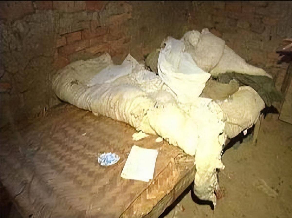 原创2001年河南一男子自制智能木马17名少年体验后离奇失踪