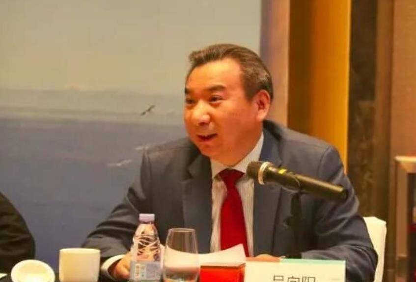 广州最大隐形富豪吕向阳,曾借表弟2百万,如今表弟还他2百亿_王传福_比