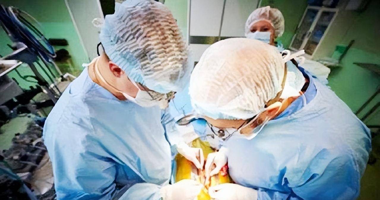 原创1984年美国女婴为活命移植狒狒心脏手术成功21天后仍然离世