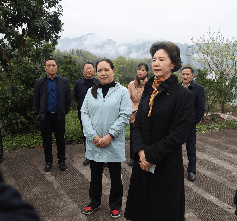 3月19日,永川区人大常委会副主任孔萍率队来我区开展基层治理工作情况