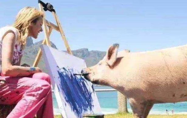 原创世界上最具有艺术天赋的猪一幅卖出3000万高价