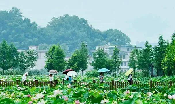 古代衡阳境内建了三座相公祠,其中的两座祠堂纪念的人鲜为人知_耒阳市
