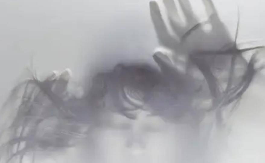 "身上多处瘀伤,腿部中刀失血,手脚均有明显的捆绑痕迹,脖子上有勒痕