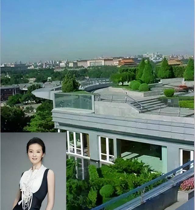 原创晴格格的富豪丈夫王志才住在紫禁城边的豪宅却入了外国籍