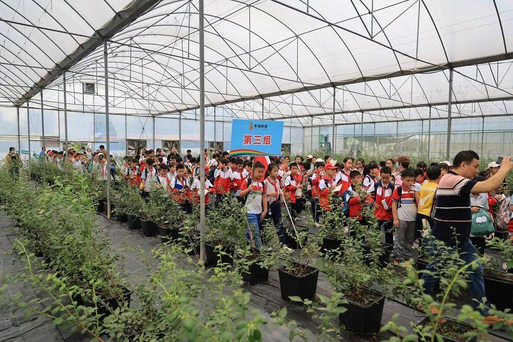 幸福田园基地核心定位为服务大中小学学生研学,劳动实践,德育美育