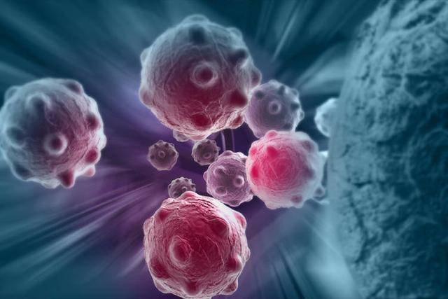 癌症_癌细胞_研讨