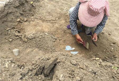 原創圓明園遺址考古發掘現場挖出5萬多件文物有個激動人心的發現