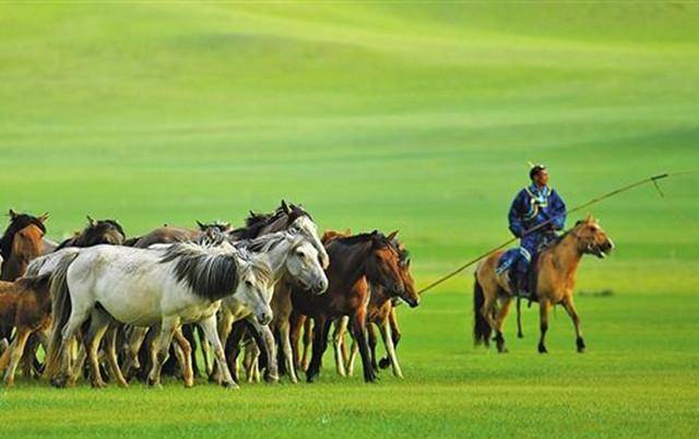 《流水似的走马》:蒙古游子的心声,都是难以割舍的"故乡情"_草原_大