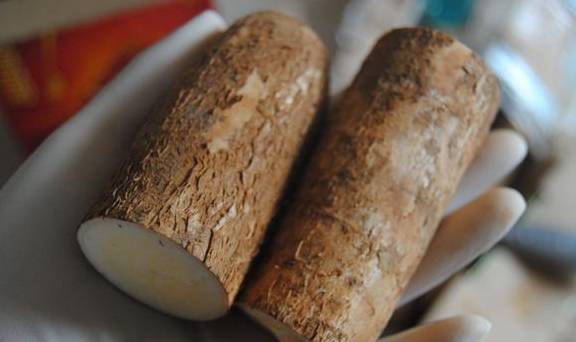 这食材南方农村很常见,以前拿来喂猪,现在给肉也不换_木薯_糖水_食用